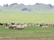 자연의 품에 들다 - 소션녀의 몽골여행기